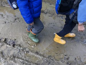 冬の森育 ロザリオ学園 冬の森育 ロザリオ学園